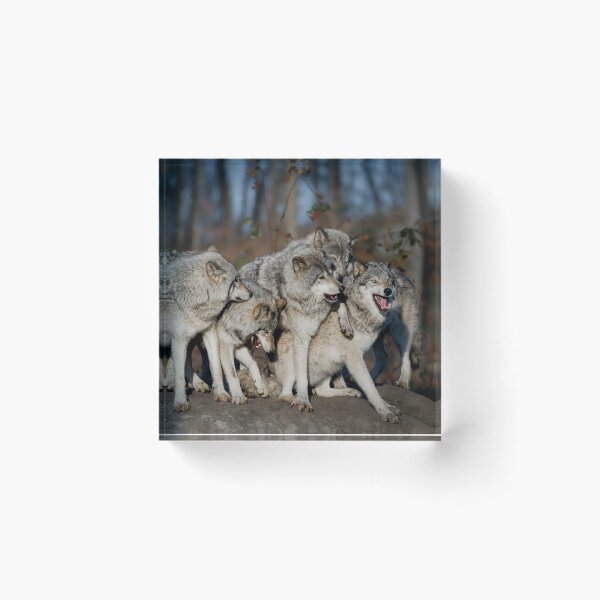 Artikelvorschau, The Gang entworfen und verkauft von WolvesOnly.