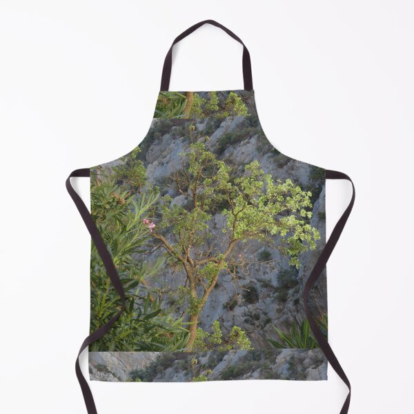 Item preview, Juniper in Sunlit Mountain Canyon designed and sold by RebeccaDevon.