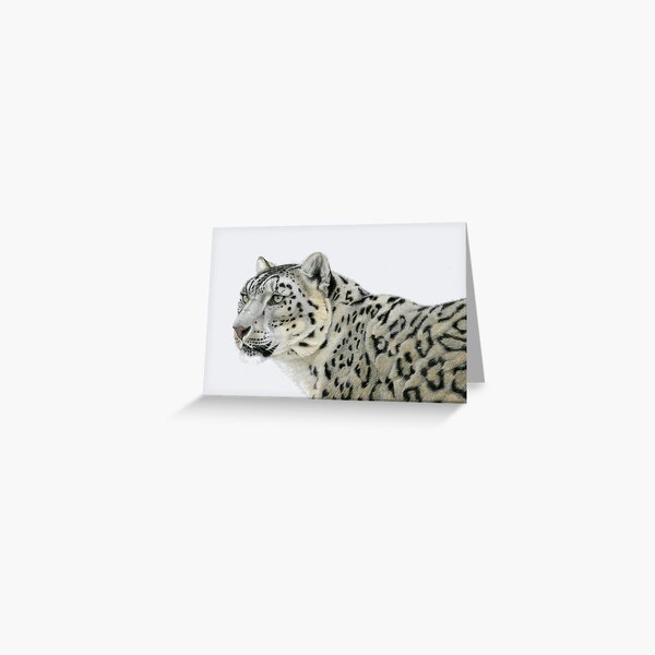Snow Leopard Greeting Card