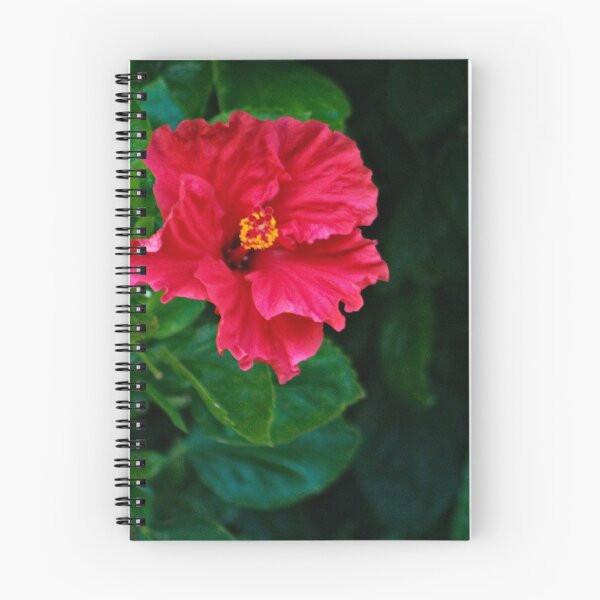 Item preview, Red Hibiscus Exotic Tropical Flower designed and sold by worldways.