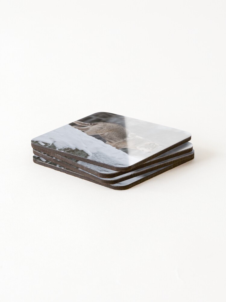 Thumbnail 4 of 5, Coasters (Set of 4), Timber Wolf designed and sold by WolvesOnly.
