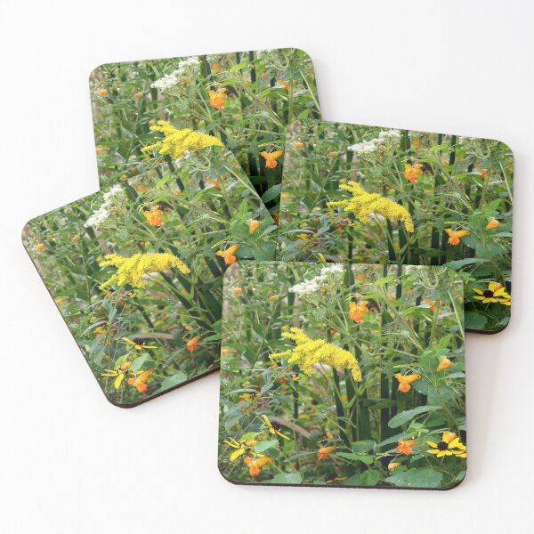 Item preview, Ohio Wildflowers designed and sold by mark-bugs-org.