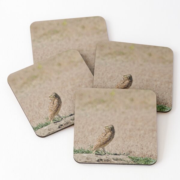 Artikelvorschau, Burrowing Owl im Badlands National Park entworfen und verkauft von armaher7.