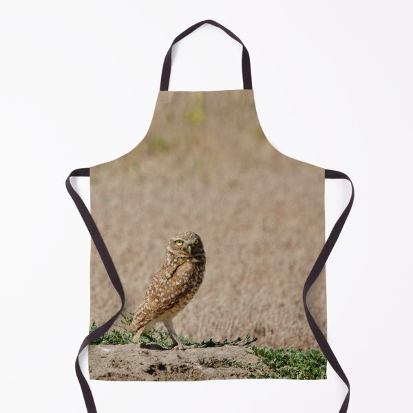 Artikelvorschau, Burrowing Owl im Badlands National Park entworfen und verkauft von armaher7.