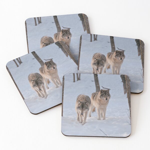 Item preview, Timber Wolves designed and sold by WolvesOnly.