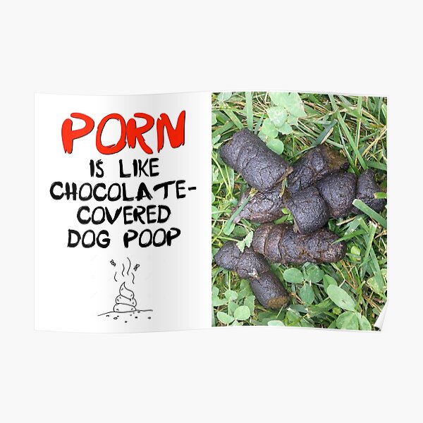 Porn is Like Chocolate-Covered Dog Poop Poster