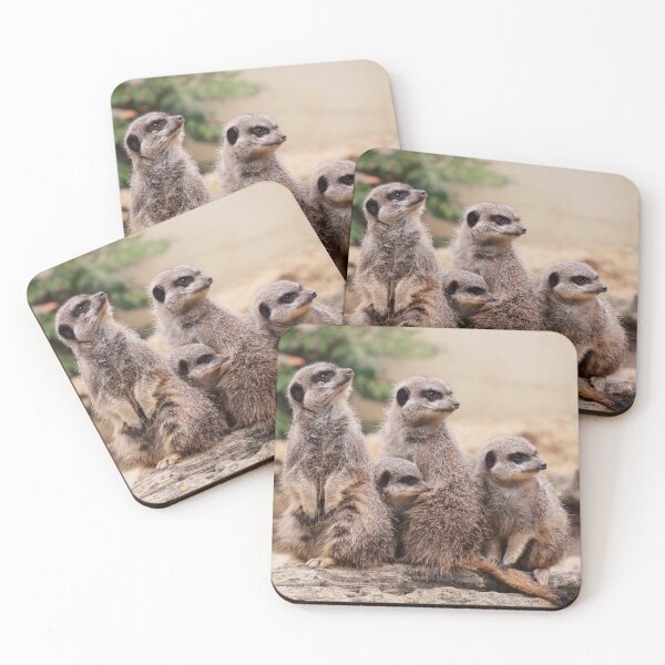 Item preview, Meerkat family designed and sold by Milanicole.