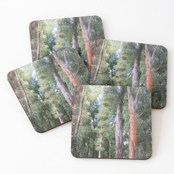 Item preview, Eucalyptus Trees designed and sold by RebeccaDevon.