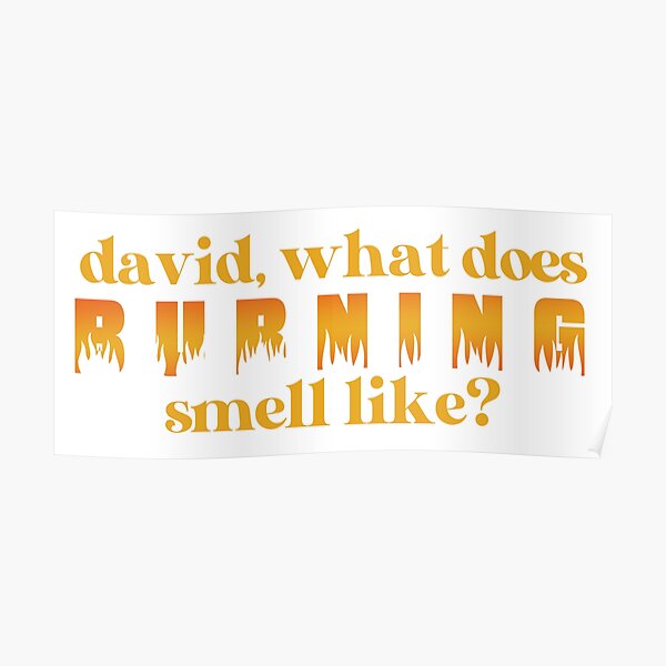 "David, what does burning smell like?" Poster by ManyaMalhotra Redbubble