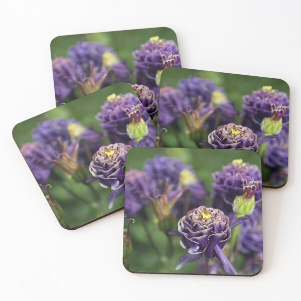 Item preview, Purple Aquilegia designed and sold by JumpinJacks.