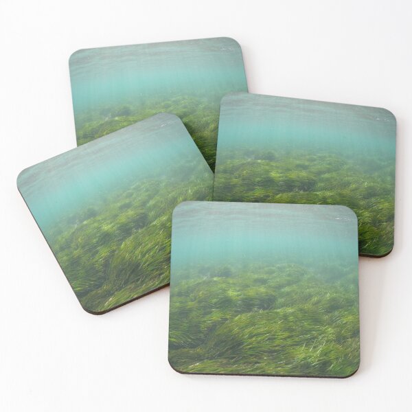 Item preview, Posidonia designed and sold by Ajo Fernández.