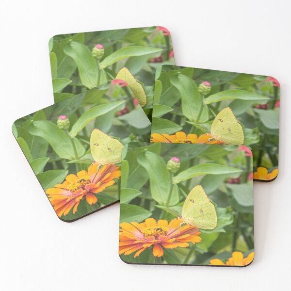 Item preview, Alfalfa Butterfly designed and sold by KensLensDesigns.