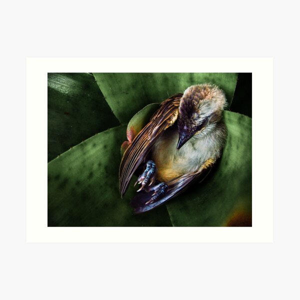 Untitled Art Print
