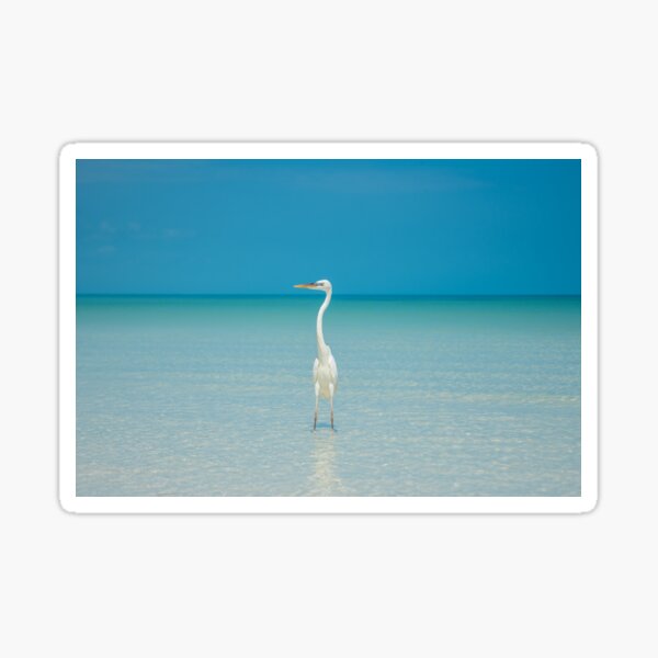 Item preview, Heron and sea designed and sold by Rodrigodesign.