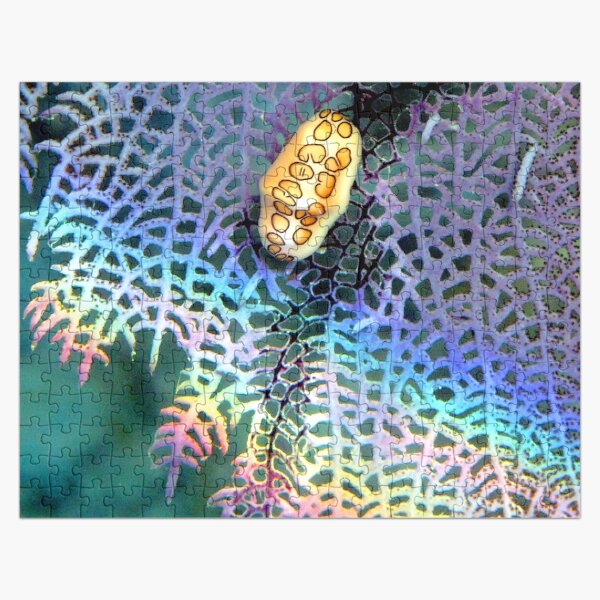 Watercolor Mollusk, Flamingo Tongue 08, St John, USVI Jigsaw Puzzle