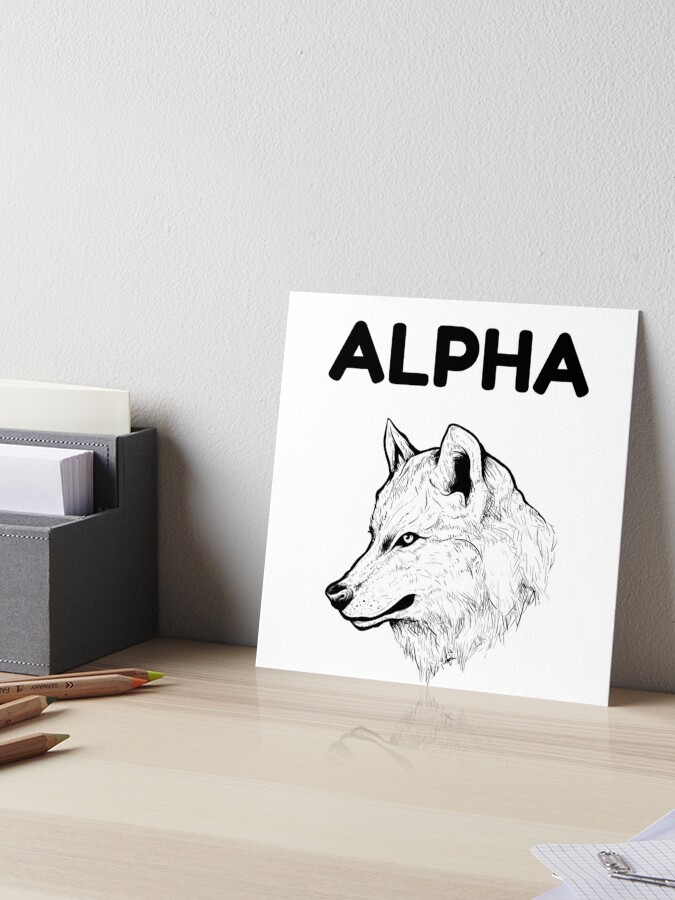 Alpha Wolf Sketching Made Easy Kit, Hobby Lobby