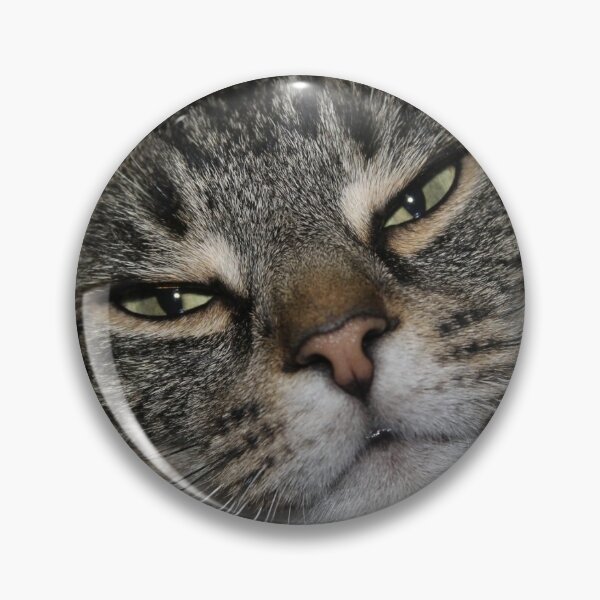 Item preview, Judgemental Cat designed and sold by JumpinJacks.