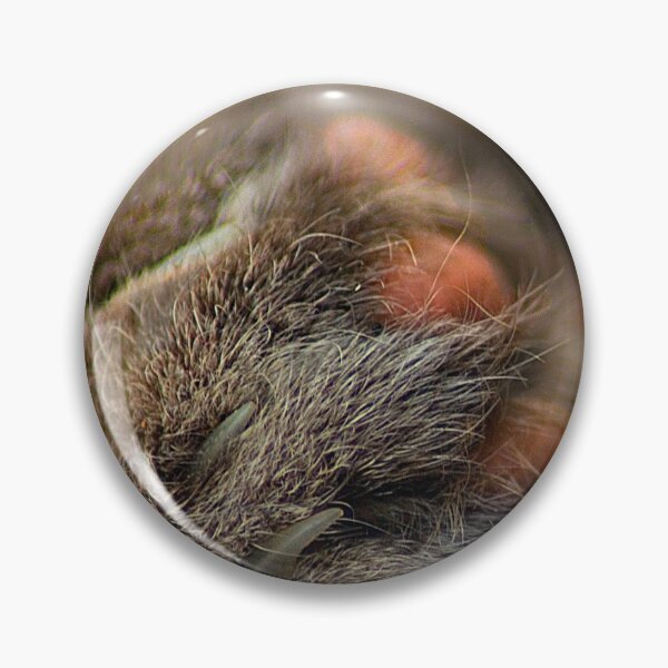Item preview, Cats Paw designed and sold by Photography & Emotive Ai.
