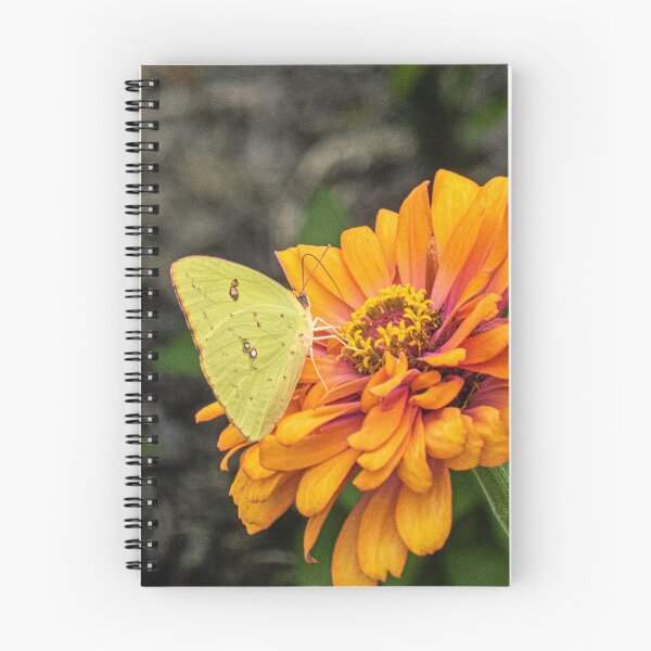 Item preview, Alfalfa Butterfly on Flowers designed and sold by KensLensDesigns.