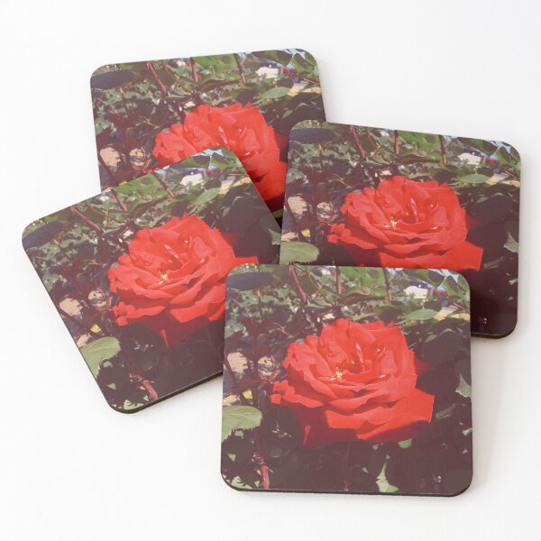 Item preview, Rose designed and sold by aepphotographs.