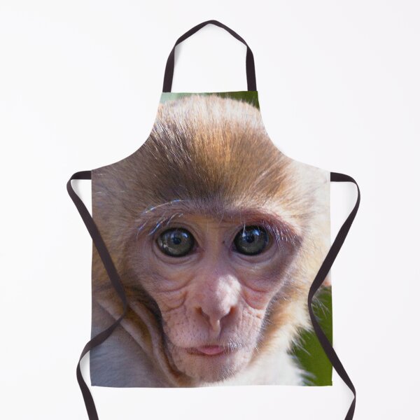 Watercolor Monkey, Rhesus Monkey 03, Silver River, Florida Apron