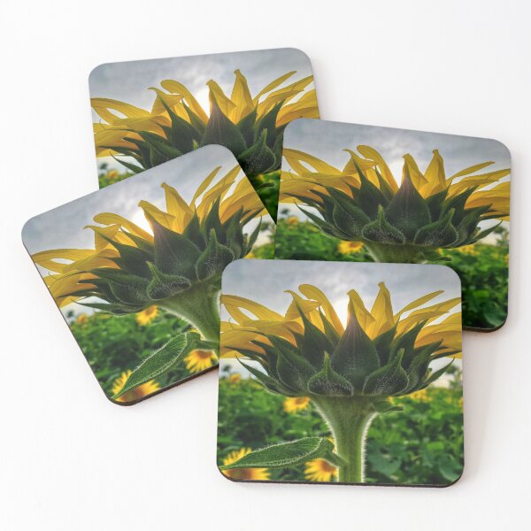 Item preview, Look up to the sky designed and sold by ChatStroh.