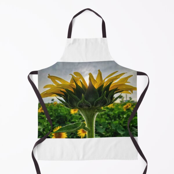 Item preview, Look up to the sky designed and sold by ChatStroh.