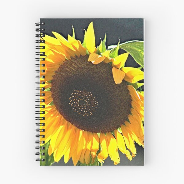 Item preview, Sunflower Summer Flower Blooming Closeup  designed and sold by worldways.