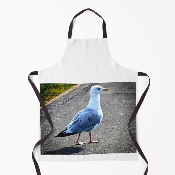 Item preview, A seagull in Hastings designed and sold by PhotoCDesign.