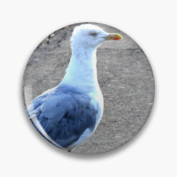 Item preview, A seagull in Hastings designed and sold by PhotoCDesign.