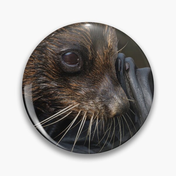 Item preview, Fur Seal designed and sold by rawshutterbug.