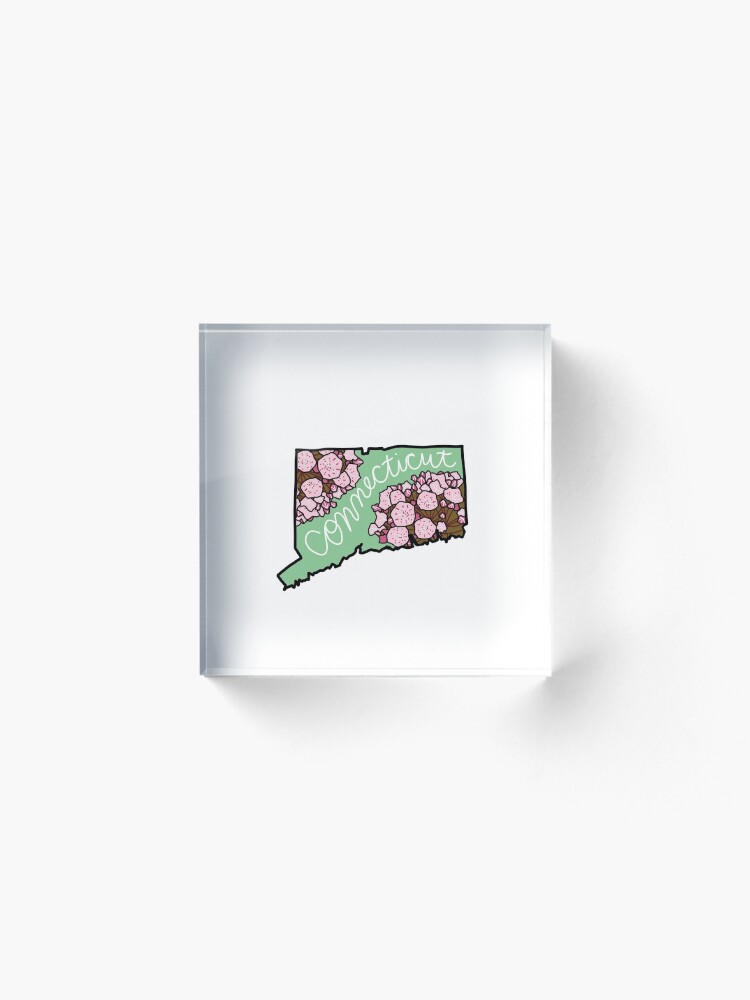 Alternate view of Connecticut State Flower Acrylic Block