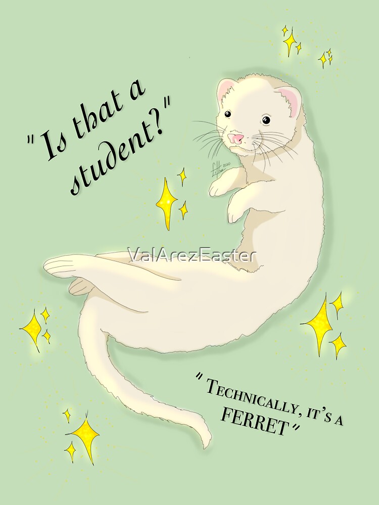 "FERRET DRACO MALFOY" Sticker for Sale by ValArezEaster Redbubble