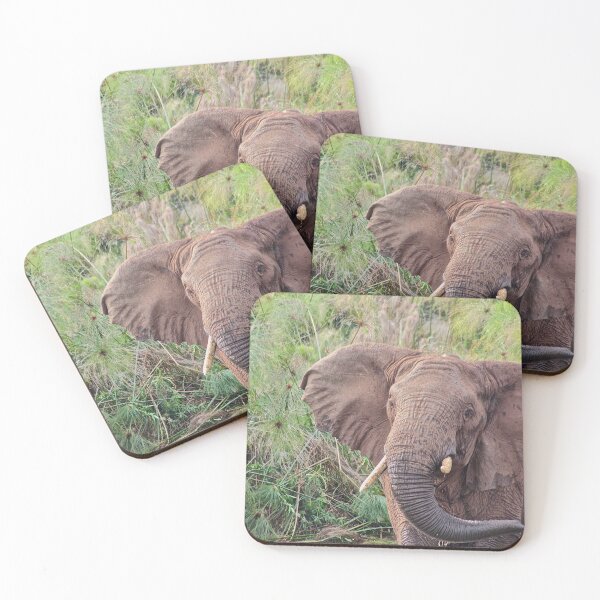 Item preview, Elephant designed and sold by armaher7.