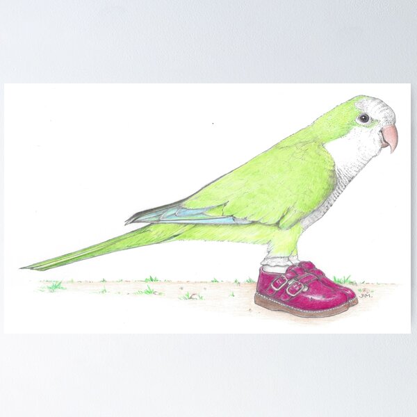 Item preview, Quaker parrot in Mary Janes designed and sold by JimsBirds.