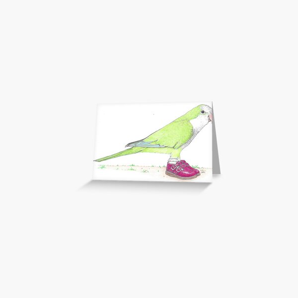 Item preview, Quaker parrot in Mary Janes designed and sold by JimsBirds.