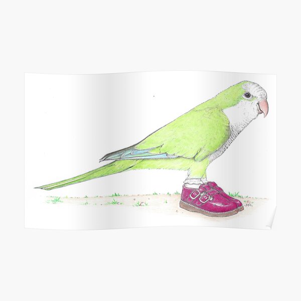 Quaker parrot in Mary Janes Poster
