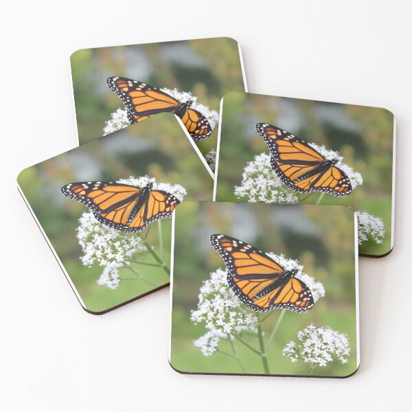 Item preview, Butterfly Magic designed and sold by Dash Kitten Photos.