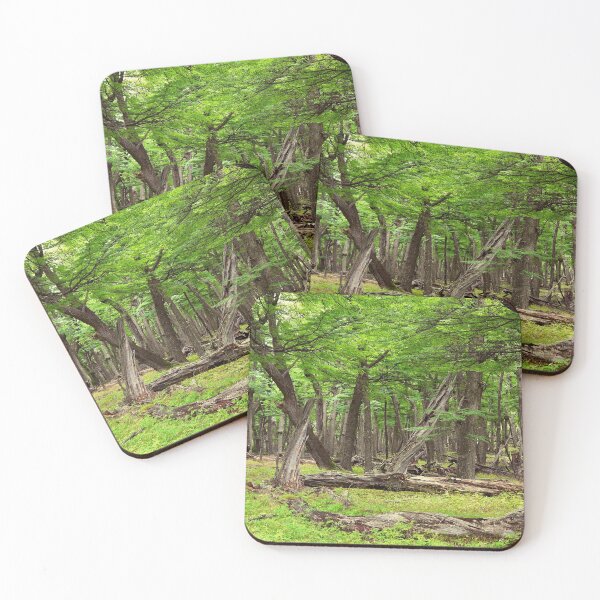 Item preview, Silence in a timeless forrest designed and sold by stevepaint.