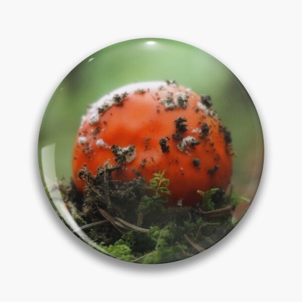 Artikelvorschau, beautiful close-up of a fly agaric entworfen und verkauft von ToniStauche.