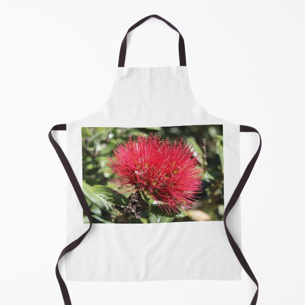 Item preview, Flor Pohutakawa designed and sold by Dash Kitten Photos.