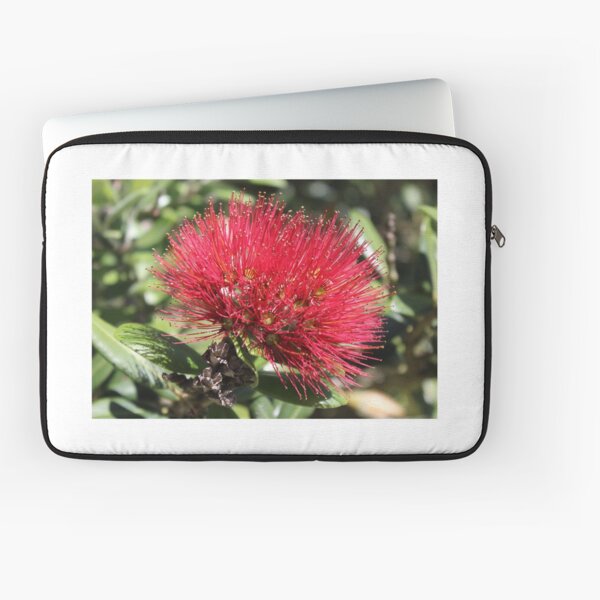 Pohutakawa Flower Laptop Sleeve