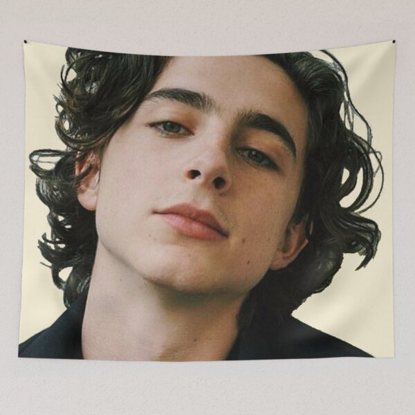 Item preview, Timothée Chalamet Beautiful Boy designed and sold by Flakey-.