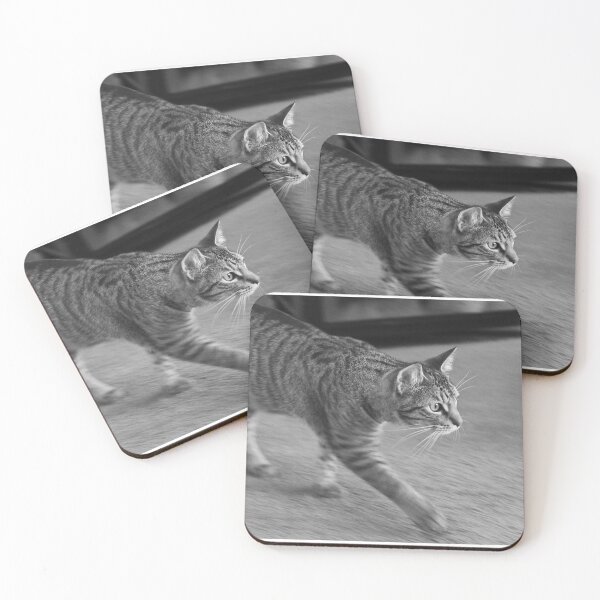 Item preview, Cat Weirdly Walking designed and sold by Dash Kitten Photos.