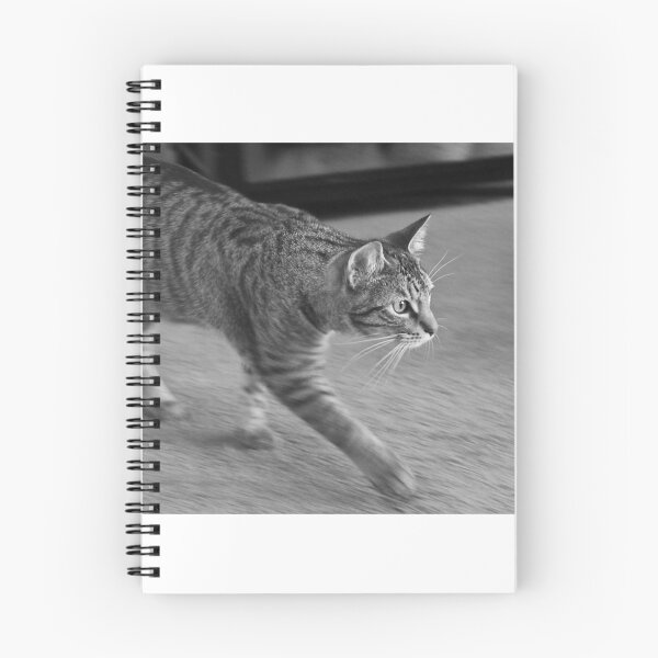 Item preview, Cat Weirdly Walking designed and sold by Dash Kitten Photos.
