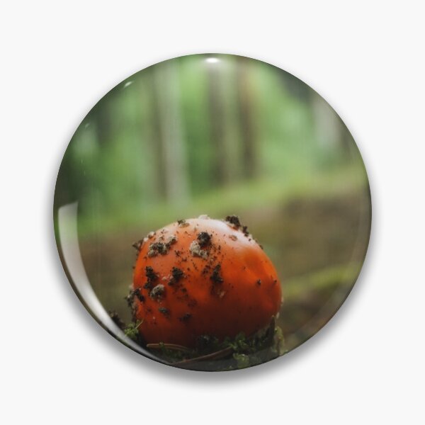 Artikelvorschau, beautiful close-up of a fly agaric entworfen und verkauft von ToniStauche.