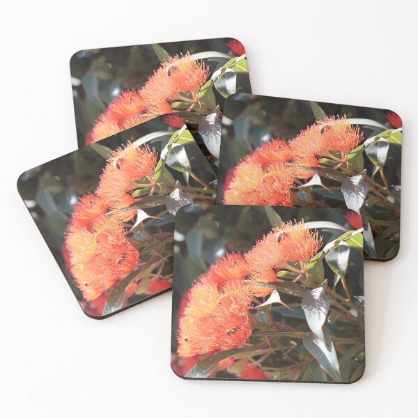 Item preview, Pohutakawa Glowing Coral designed and sold by Dash Kitten Photos.