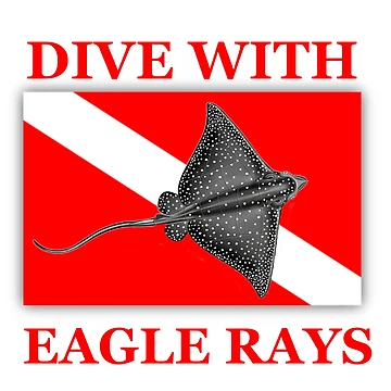 Artwork thumbnail, Dive With Eagle Rays by KeysTreasures