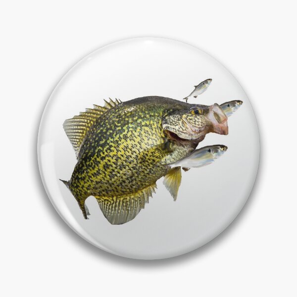 Item preview, Crappie designed and sold by sd749.