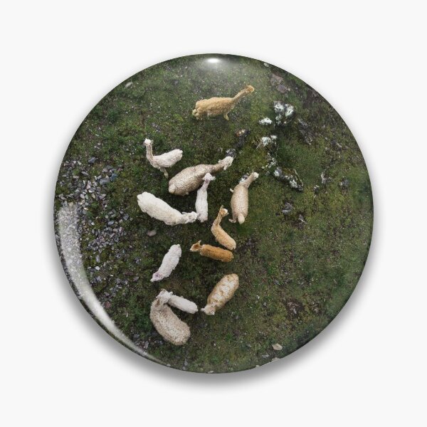 Item preview, Lamas designed and sold by QualtaghArt.